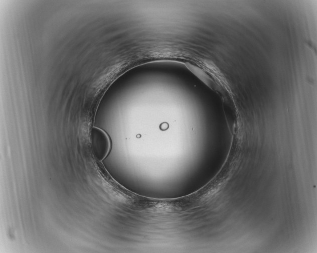 X0000100210441200805301329