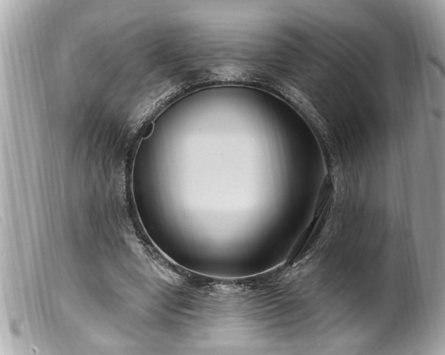 X0000100210442200805301329