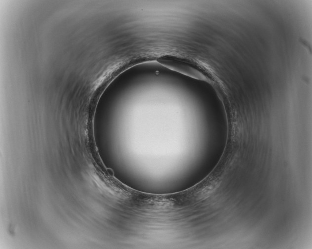 X0000100210443200805301329