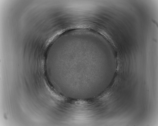 X0000100210444200805301329