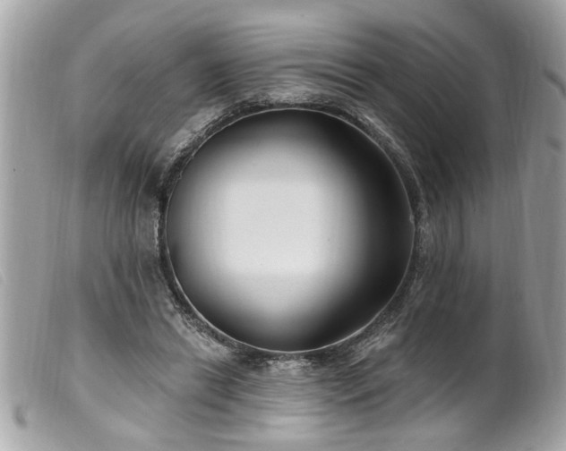 X0000100210446200805301329