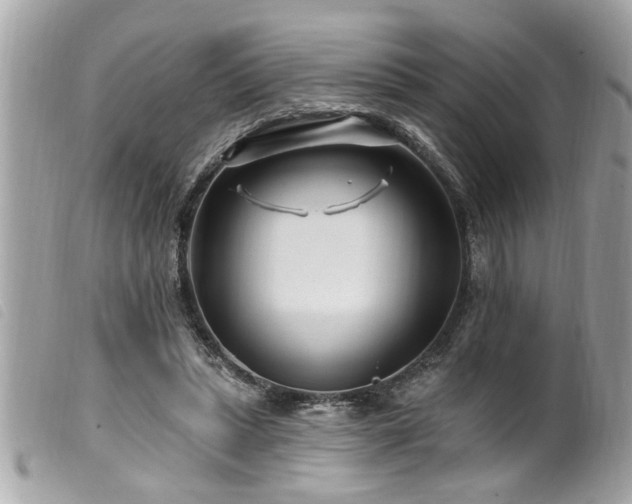 X0000100210447200805301329