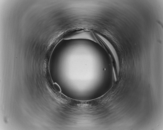 X0000100210448200805301329