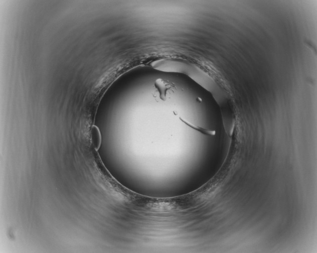 X0000100210449200805301329