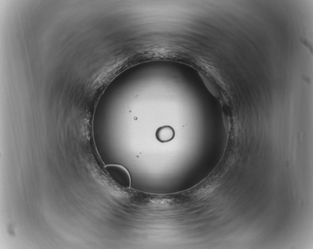 X0000100210450200805301329