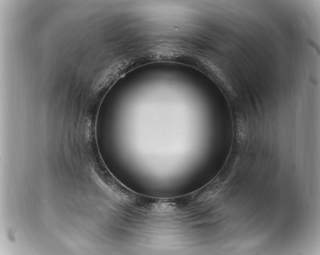 X0000100210451200805301329