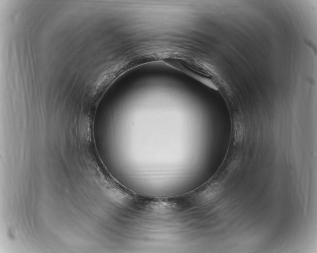 X0000100210453200805301329