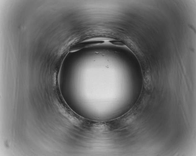 X0000100210454200805301329