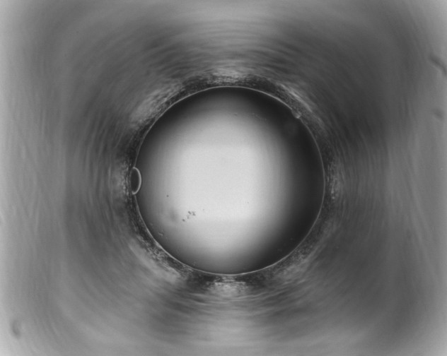 X0000100210455200805301329