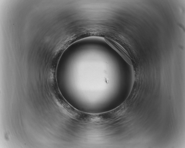 X0000100210456200805301329