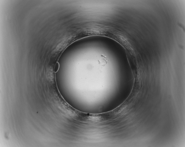 X0000100210457200805301329