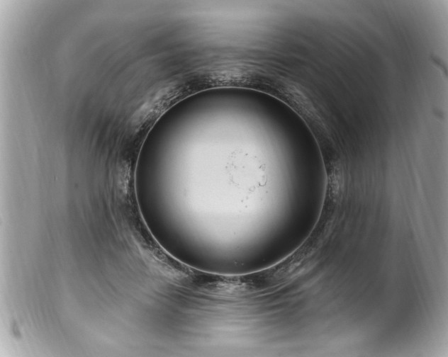 X0000100210458200805301329