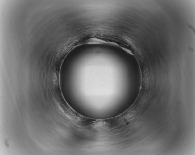 X0000100210459200805301329