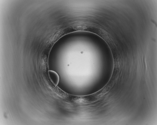 X0000100210460200805301329