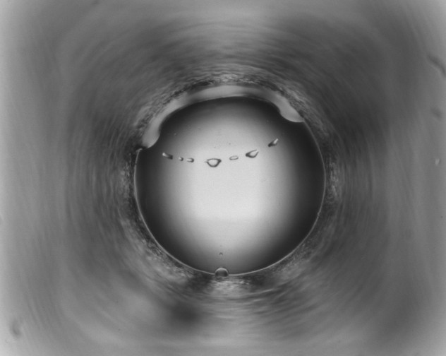 X0000100210461200805301329