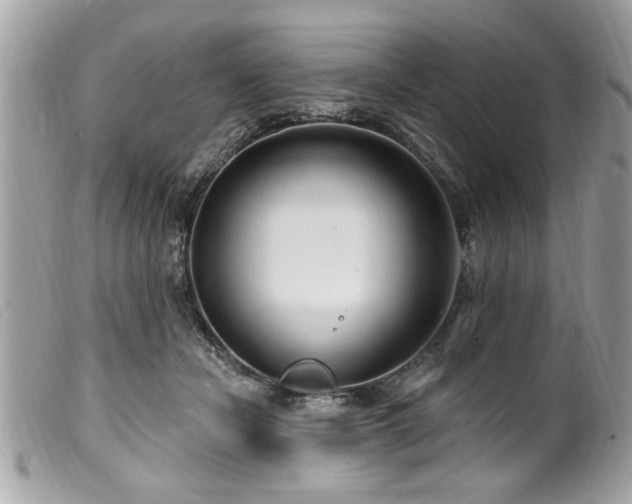 X0000100210462200805301329