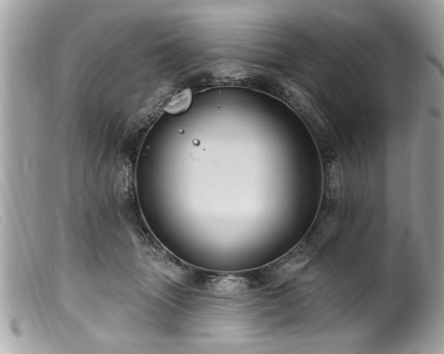 X0000100210463200805301329