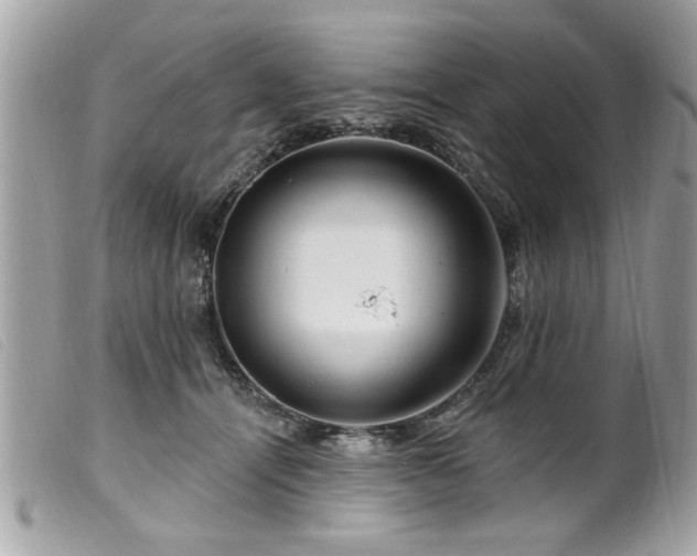 X0000100210464200805301329