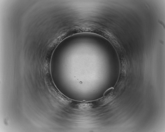 X0000100210465200805301329