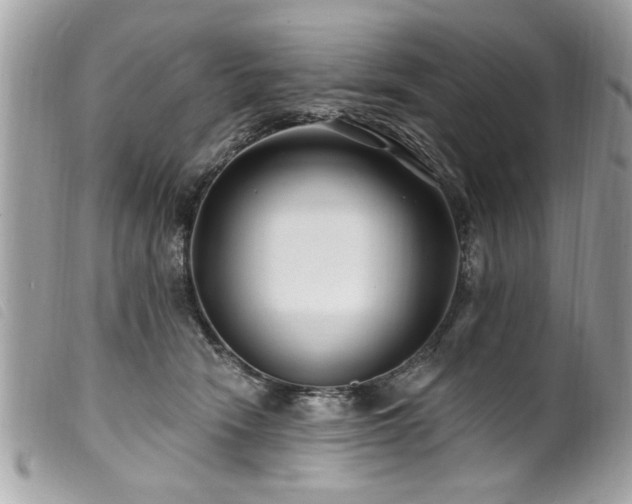 X0000100210466200805301329