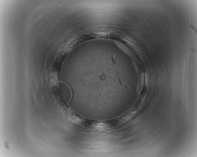 X0000100210467200805301329