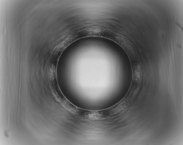 X0000100210468200805301329