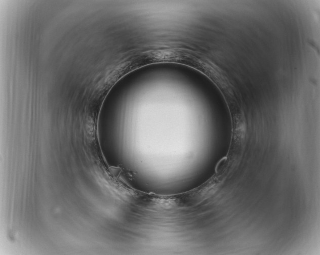 X0000100210469200805301329