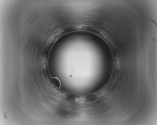 X0000100210470200805301329