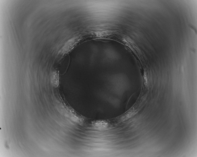 X0000100210471200805301329