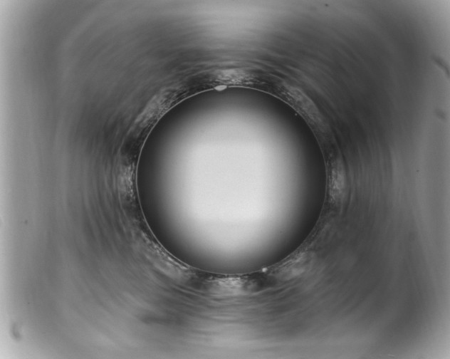 X0000100210473200805301329