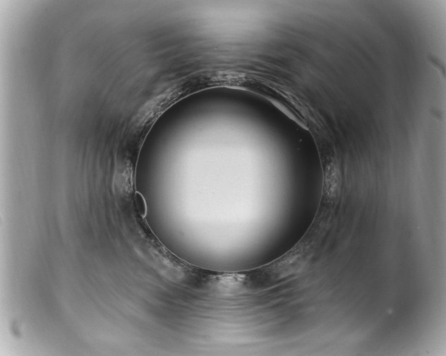 X0000100210474200805301329