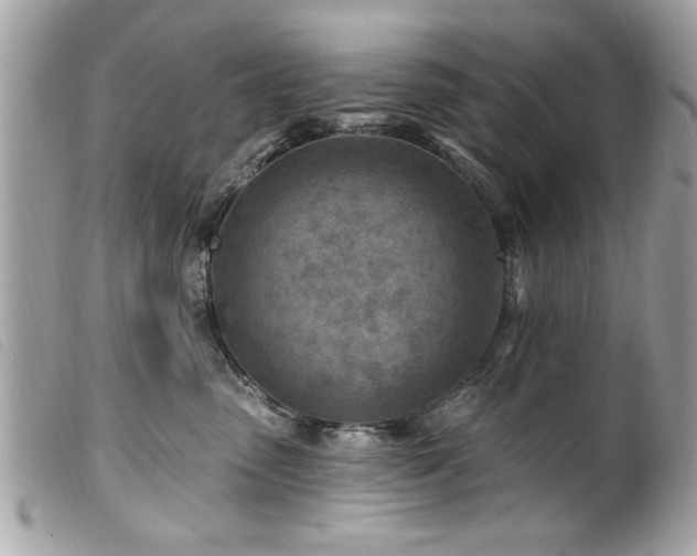 X0000100210475200805301329