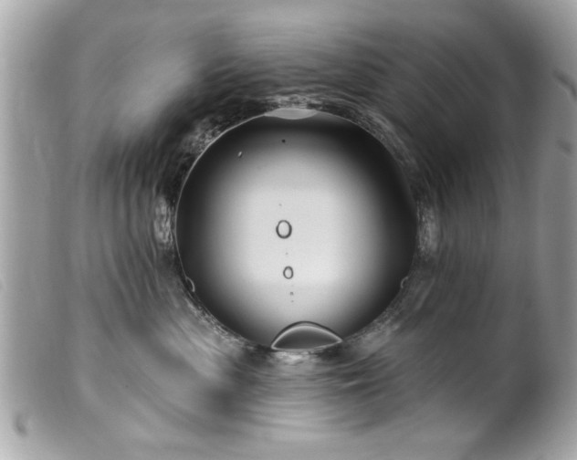 X0000100210477200805301329