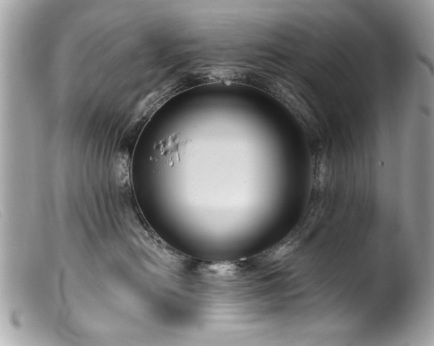 X0000100210478200805301329