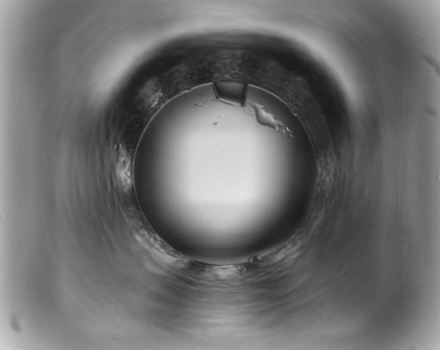 X0000100210479200805301329