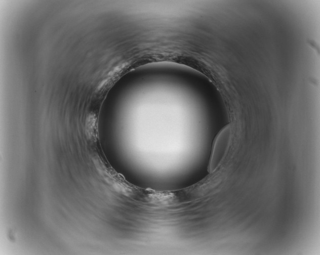 X0000100210480200805301329