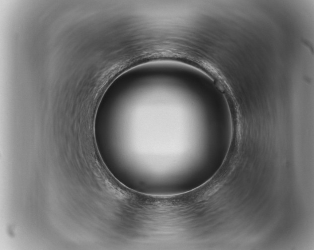 X0000100210481200805301329