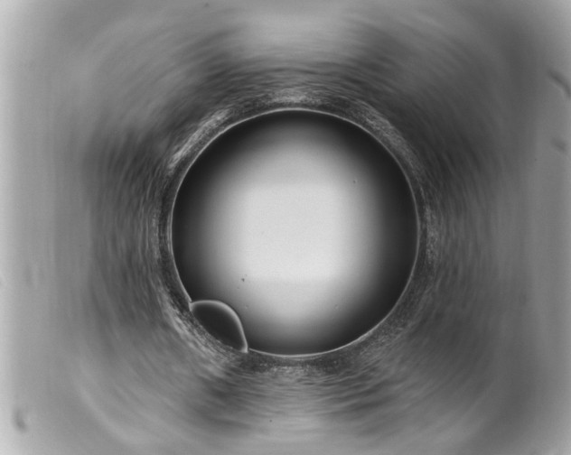 X0000100210482200805301329