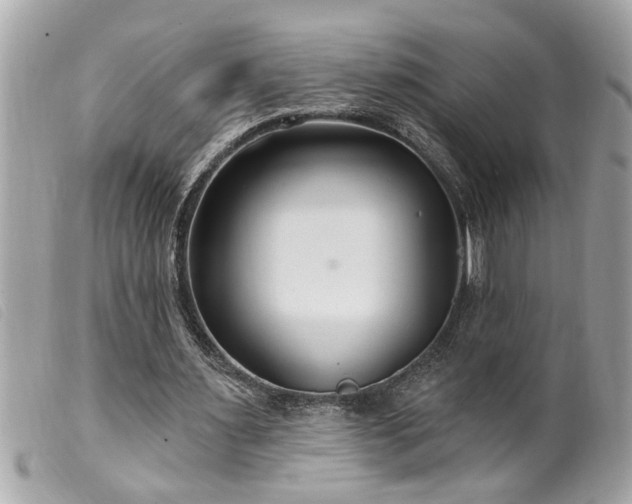 X0000100210483200805301329