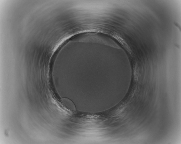 X0000100210484200805301329