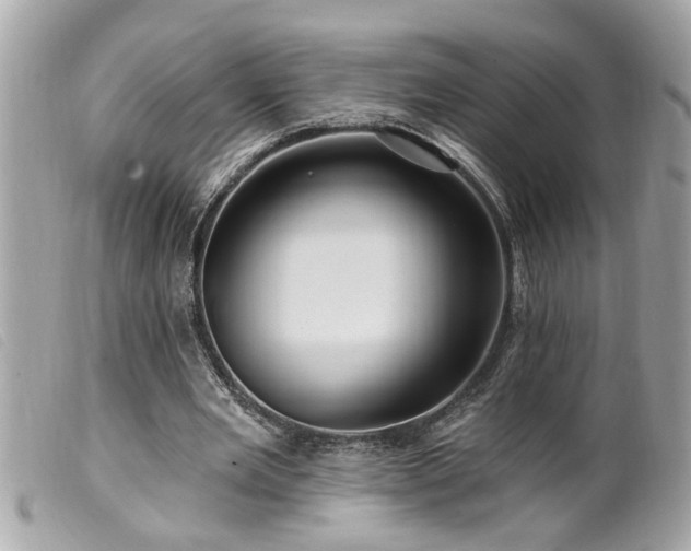 X0000100210485200805301329