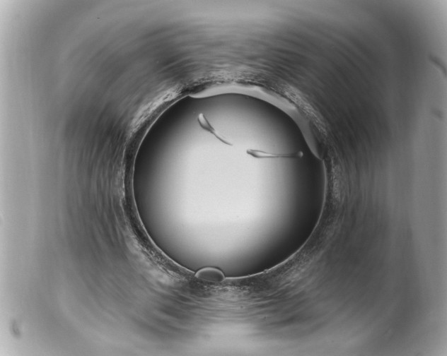 X0000100210486200805301329