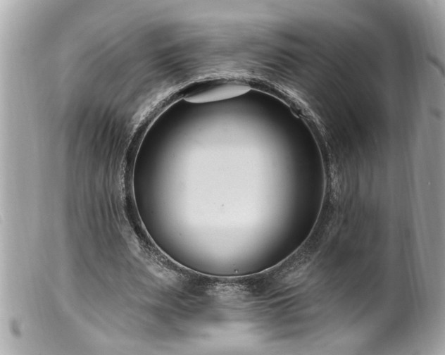 X0000100210487200805301329