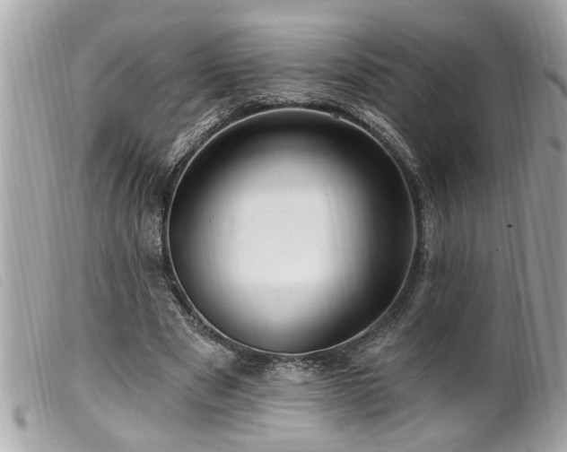 X0000100210489200805301329