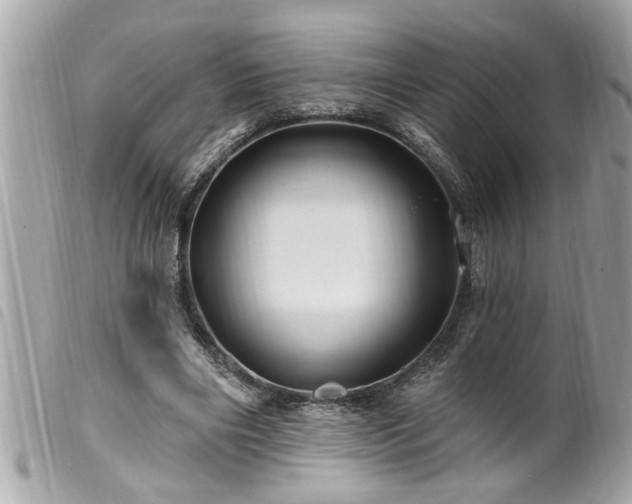 X0000100210490200805301329