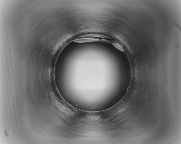 X0000100210491200805301329