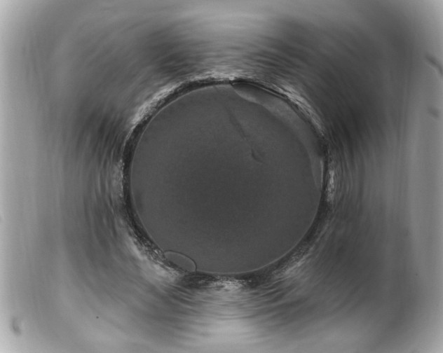 X0000100210492200805301329