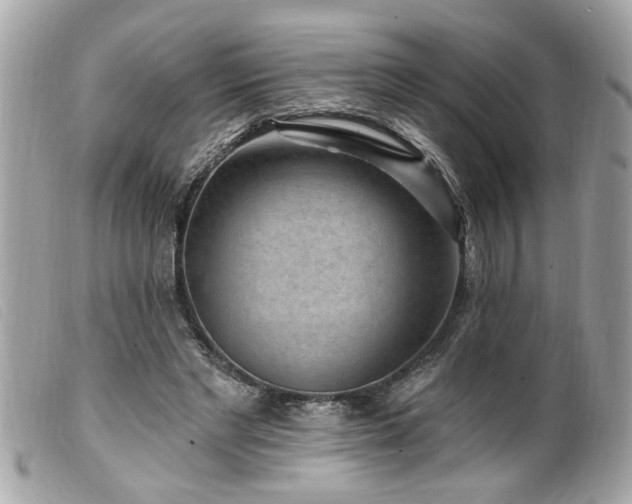 X0000100210493200805301329