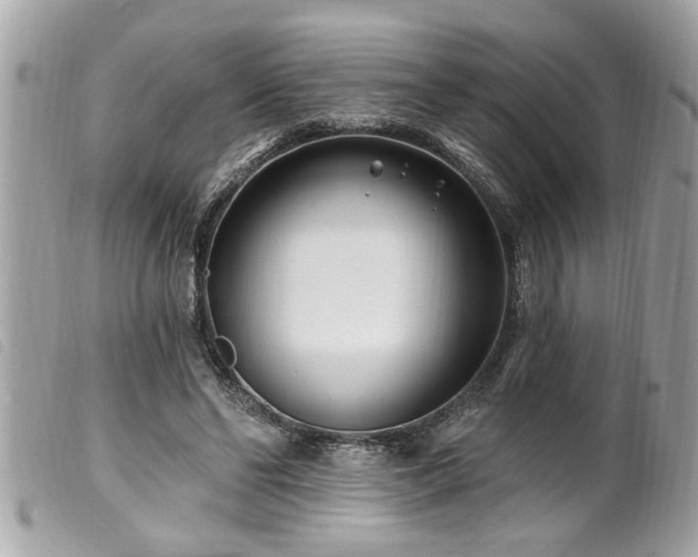 X0000100210494200805301329