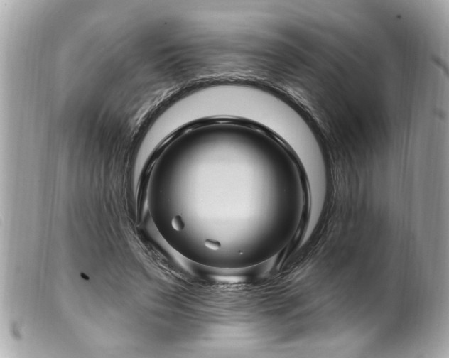 X0000100210495200805301329